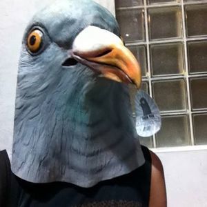 Meet your Posher, Sophia